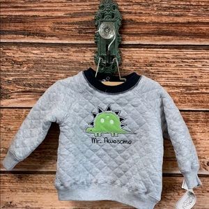 NWT Quilted Dinosaur Sweatshirt